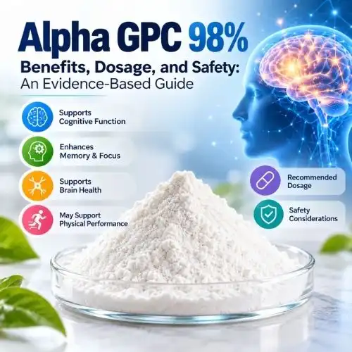 Alpha GPC 98% Benefits, Dosage, and Safety: An Evidence-Based Guide